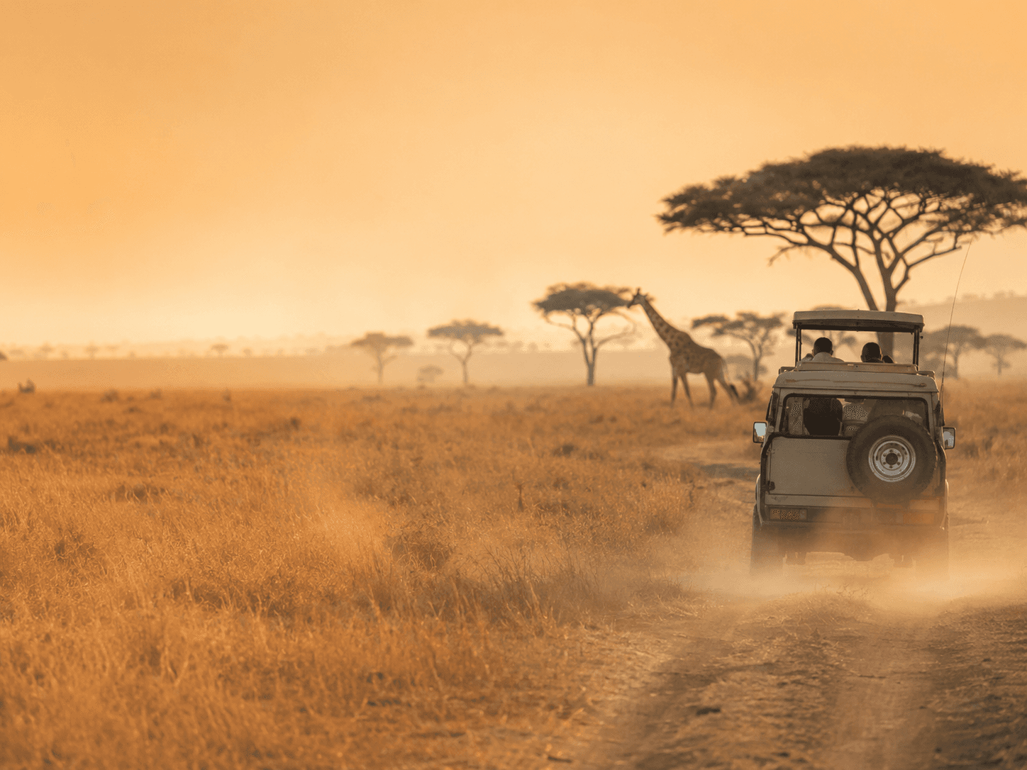East African safari destination landscape for Kenya and Tanzania travel