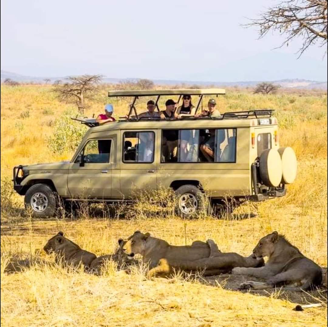 Tanzania budget safaris, camping the northern circuit.