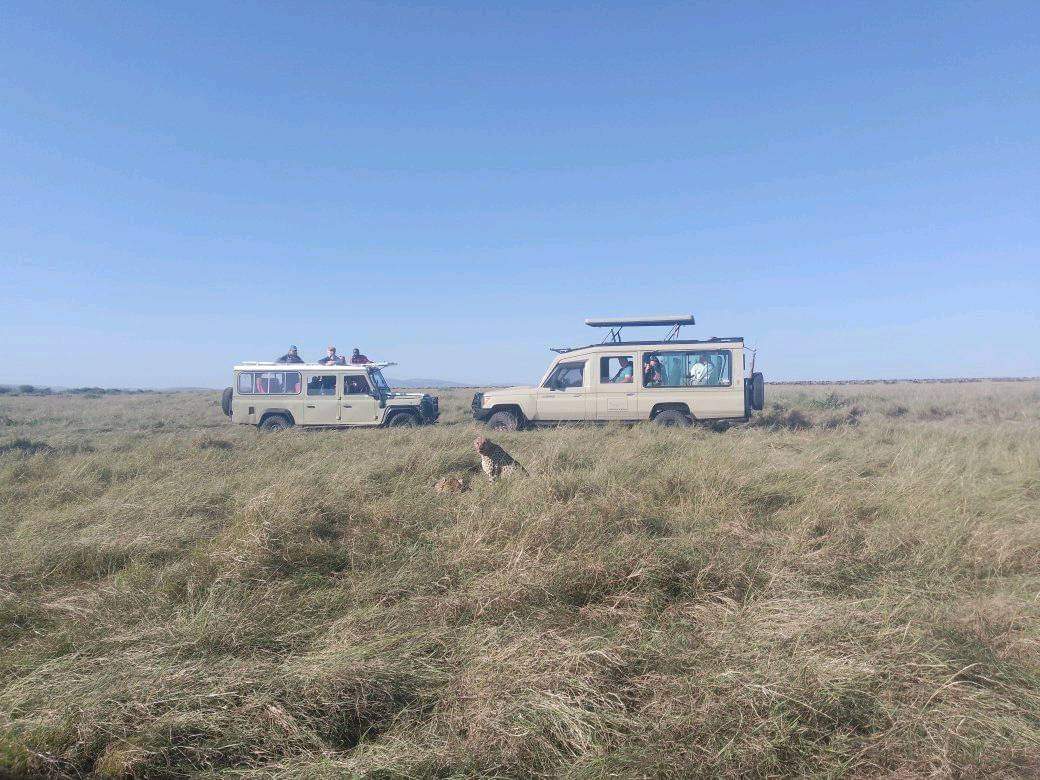 Kenya budget camping safaris, real bush and sensible prices.