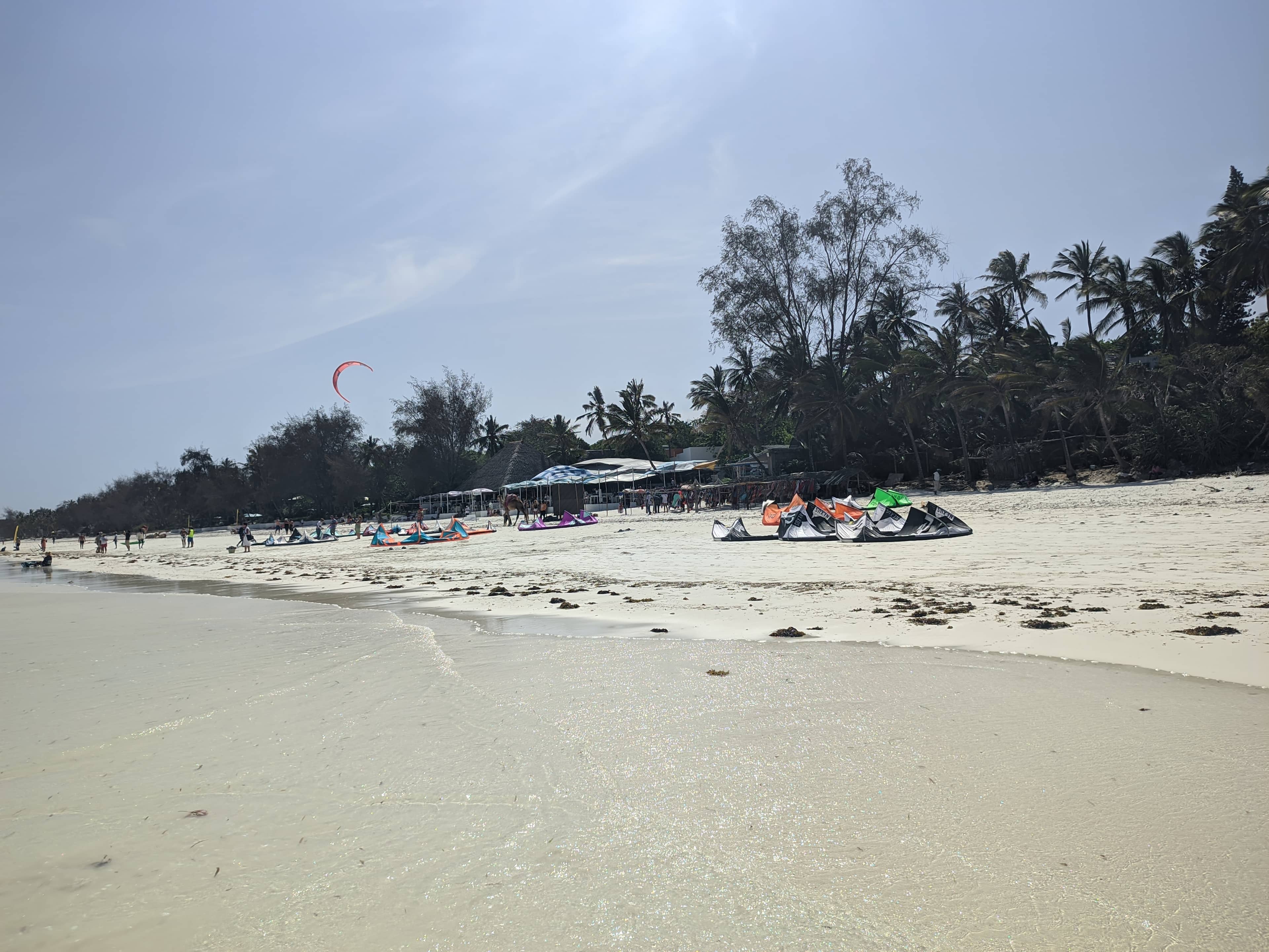 Diani Beach safari destination