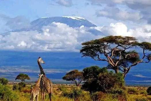 Lake Nakuru National Park safari destination