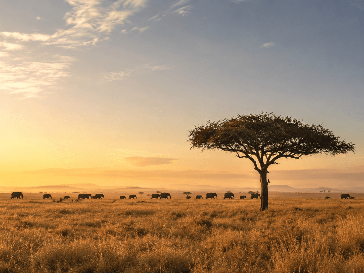 East African safari landscape for combined Kenya and Tanzania tours