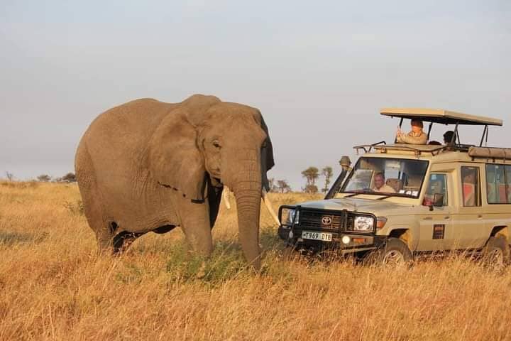 Tsavo East & West National Parks safari destination
